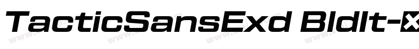 TacticSansExd BldIt字体转换